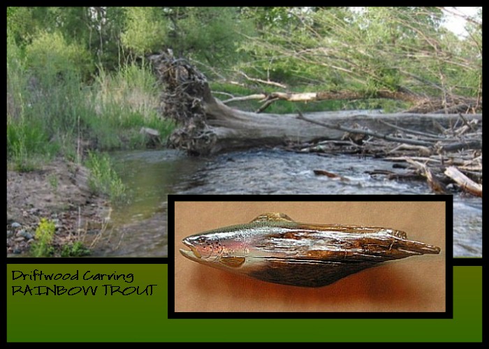 Wildlife Intentions: Rainbow trout